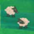Tipperary pasture2.png