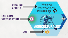 Apiary advanceAnatomy.png