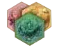 Takenoko actionPlots.png