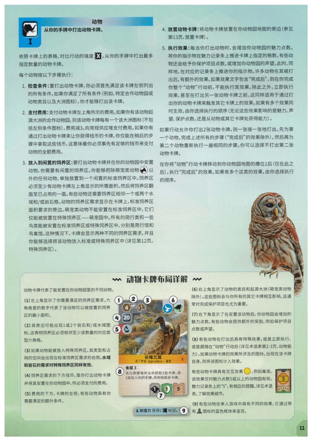 方舟动物园规则书第 11 页扫描图