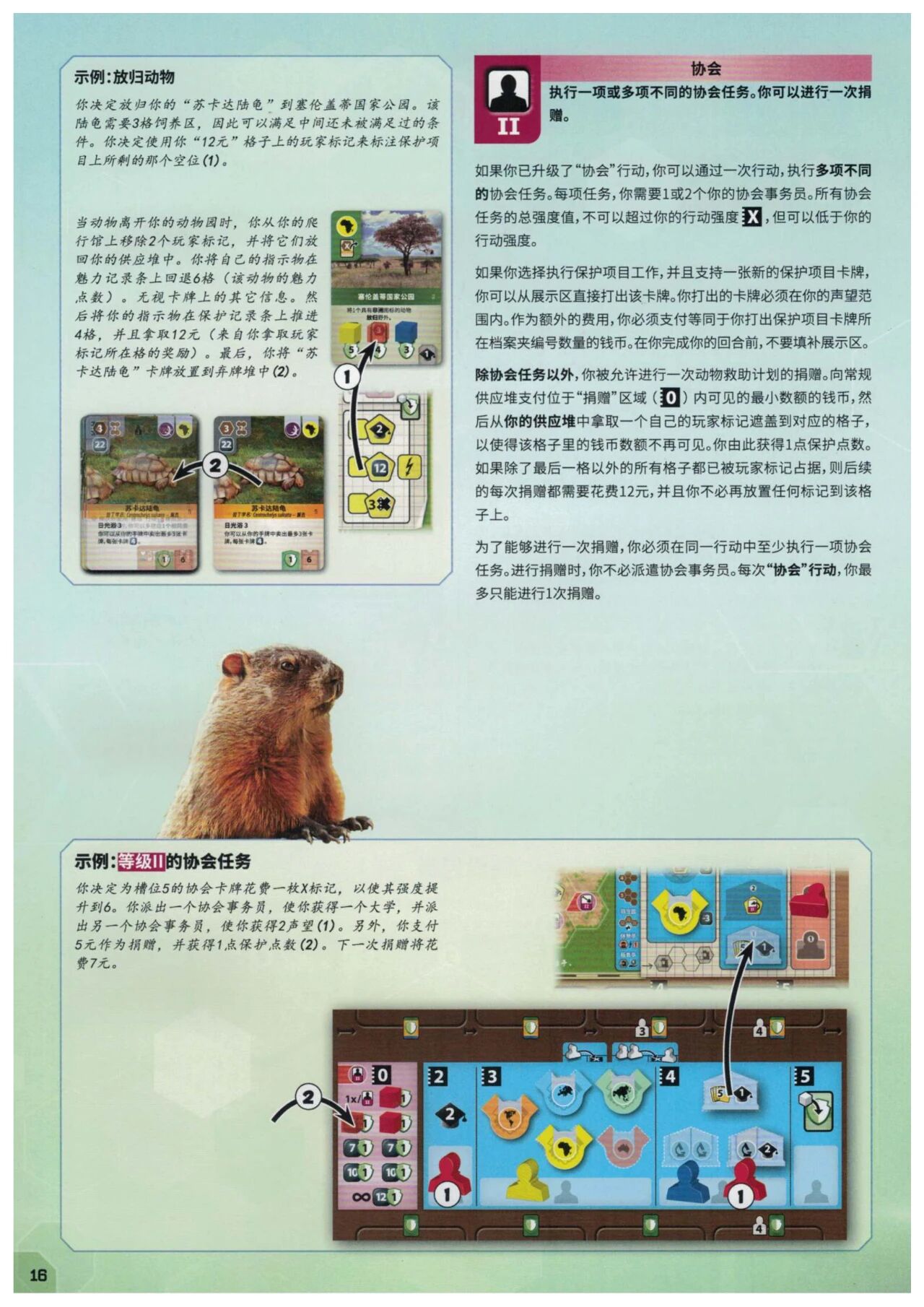 方舟动物园规则书第 16 页扫描图