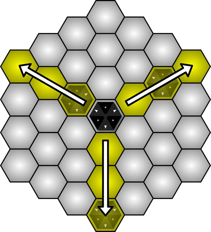 Move1.jpg