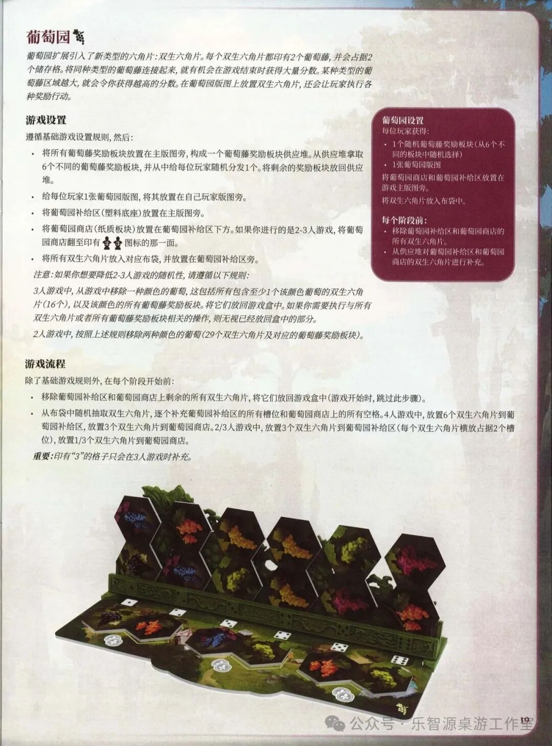 勃艮第城堡规则书第 19 页：葡萄园扩展设置与流程