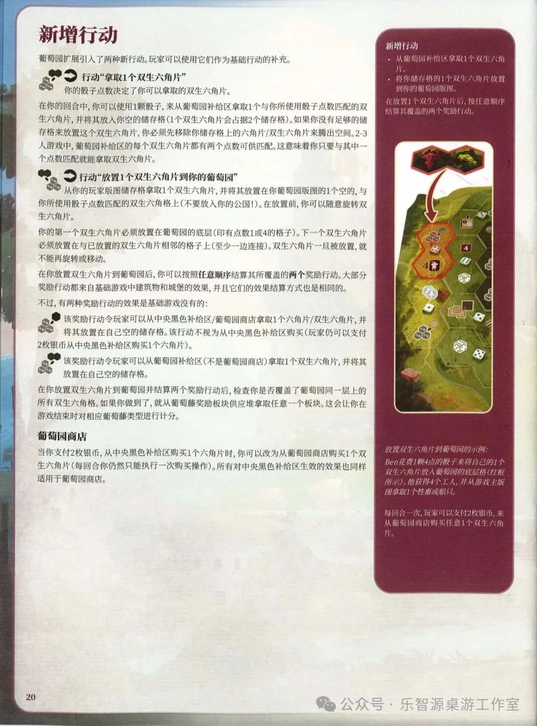 勃艮第城堡规则书第 20 页：葡萄园新增行动与葡萄园商店