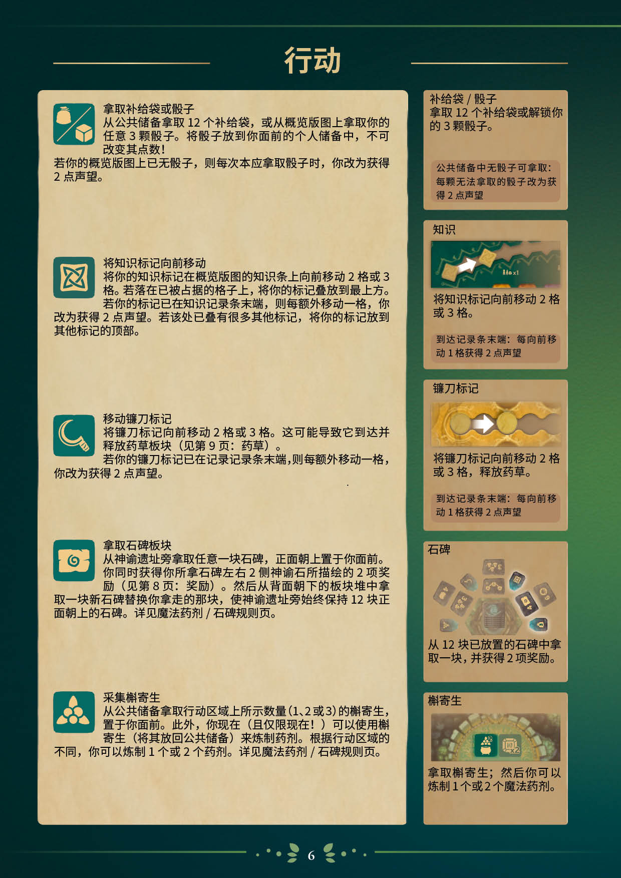 埃多拉的德鲁伊规则书第 6 页扫描图