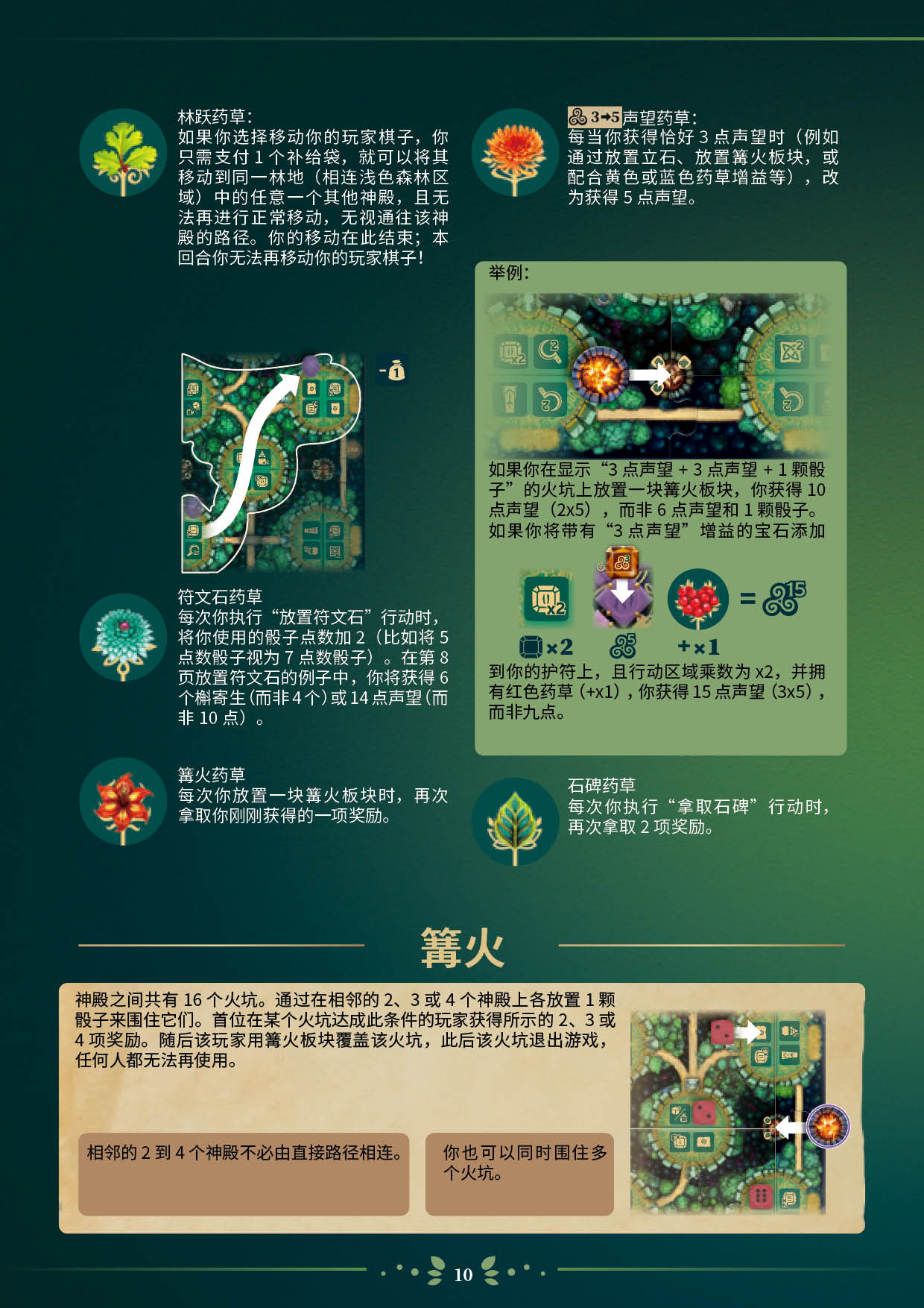 埃多拉的德鲁伊规则书第 10 页扫描图