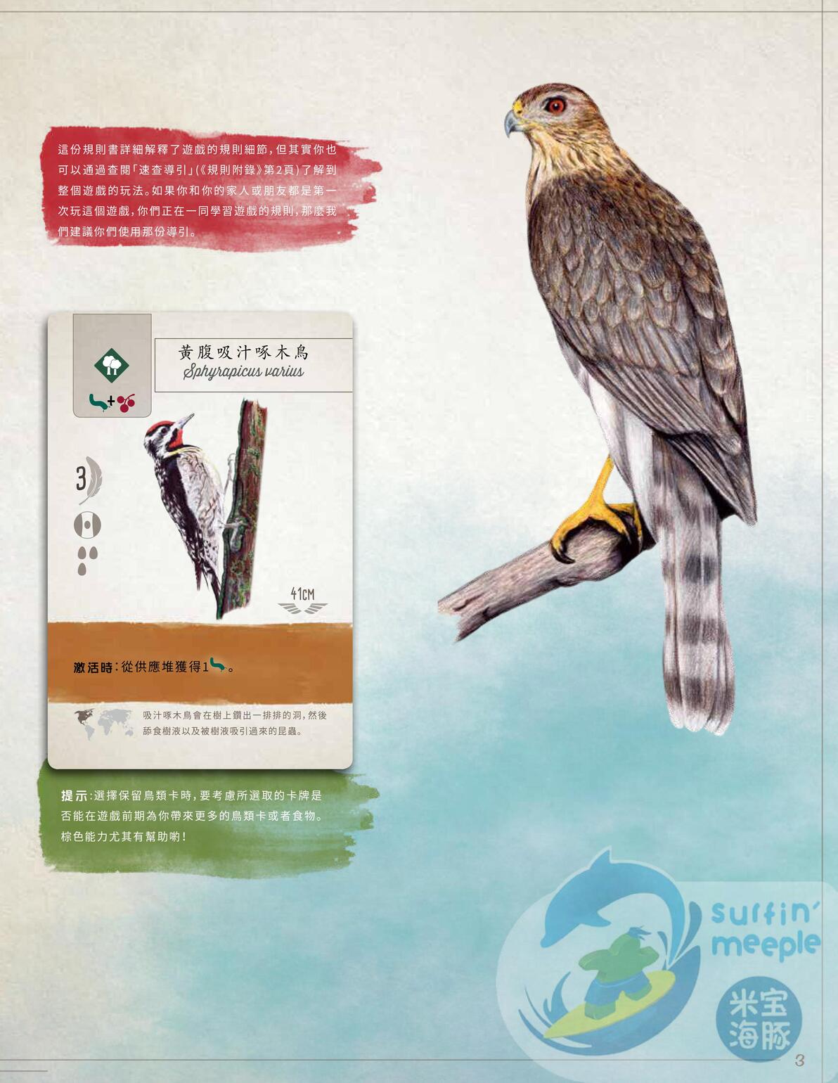 规则书 第4页